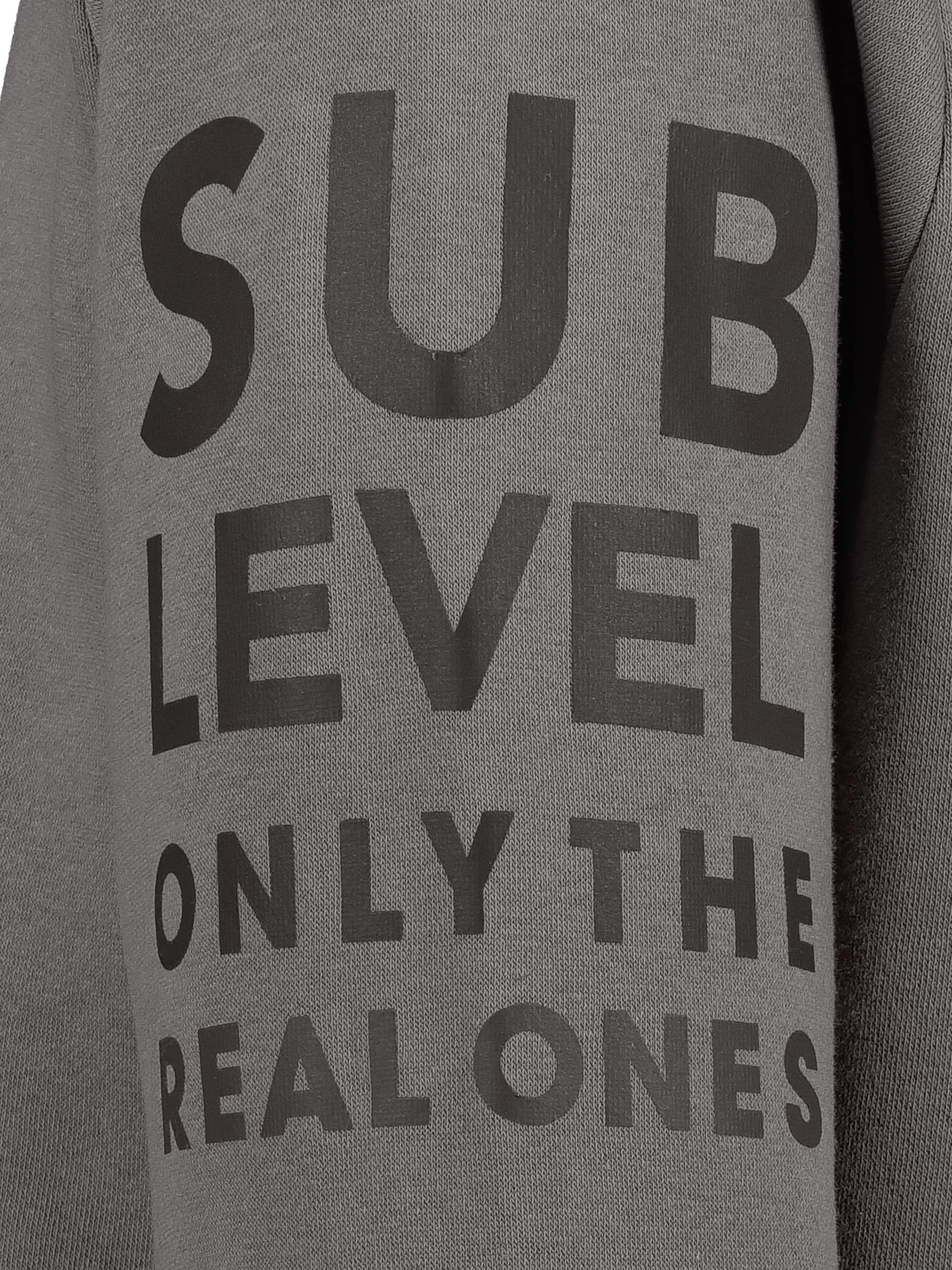 Sublevel Sweatshirt in Grau