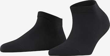 FALKE Ankle Socks 'Family' in Black: front