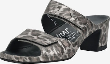 Zoccoletto di vital in grigio: frontale