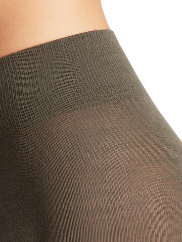 FALKE Strumpfhose 'Softmerino'‌‌‌‌‌‌‌‌ in Grün