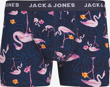 JACK & JONES Boxer shorts 'FLAMINGO' in Blue