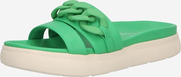 TT. BAGATT Slippers 'Dalia' in Green: front