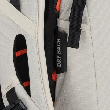 Zaino sportivo di SALEWA in beige