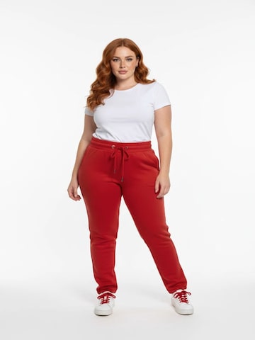 Shape Of You Regular Broek in Rood