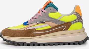 Sneaker bassa 'DE GRIPPER 02' di Floris van Bommel in colori misti: frontale