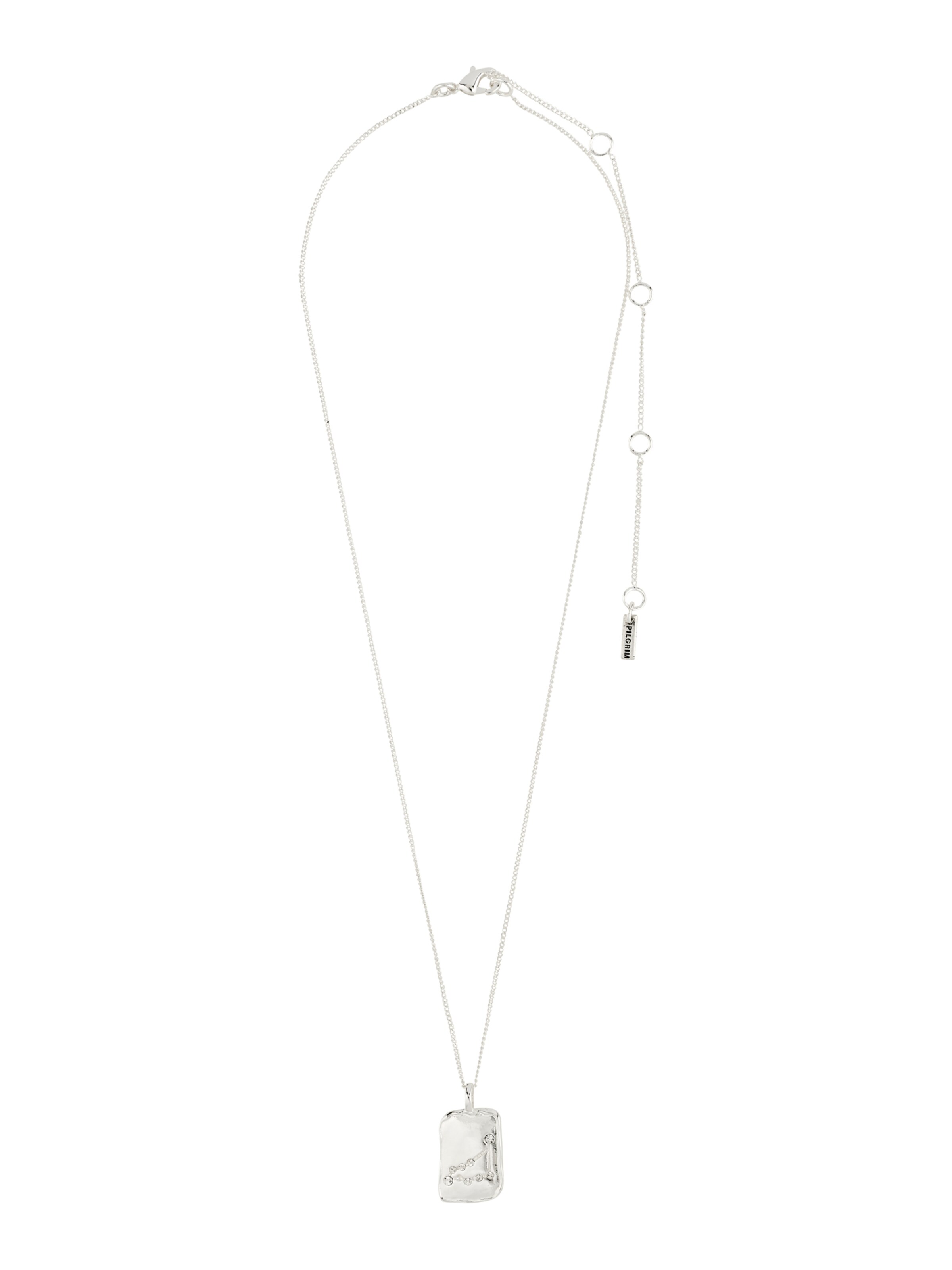 sidabrinė Pilgrim Grandinėlė 'Zodiac Sign Capricornus'