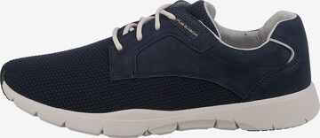 Pius Gabor Sneaker in Blau