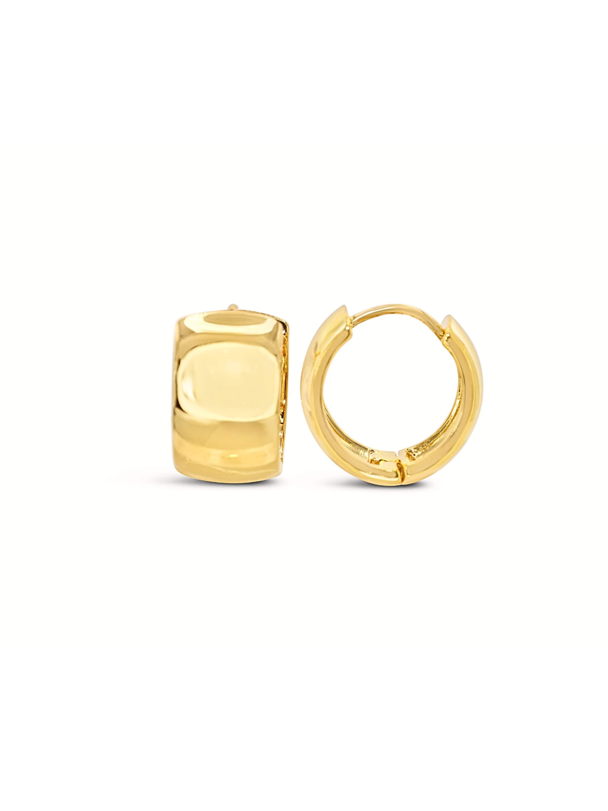 ARS-ARGENTI Earrings in Gold: front