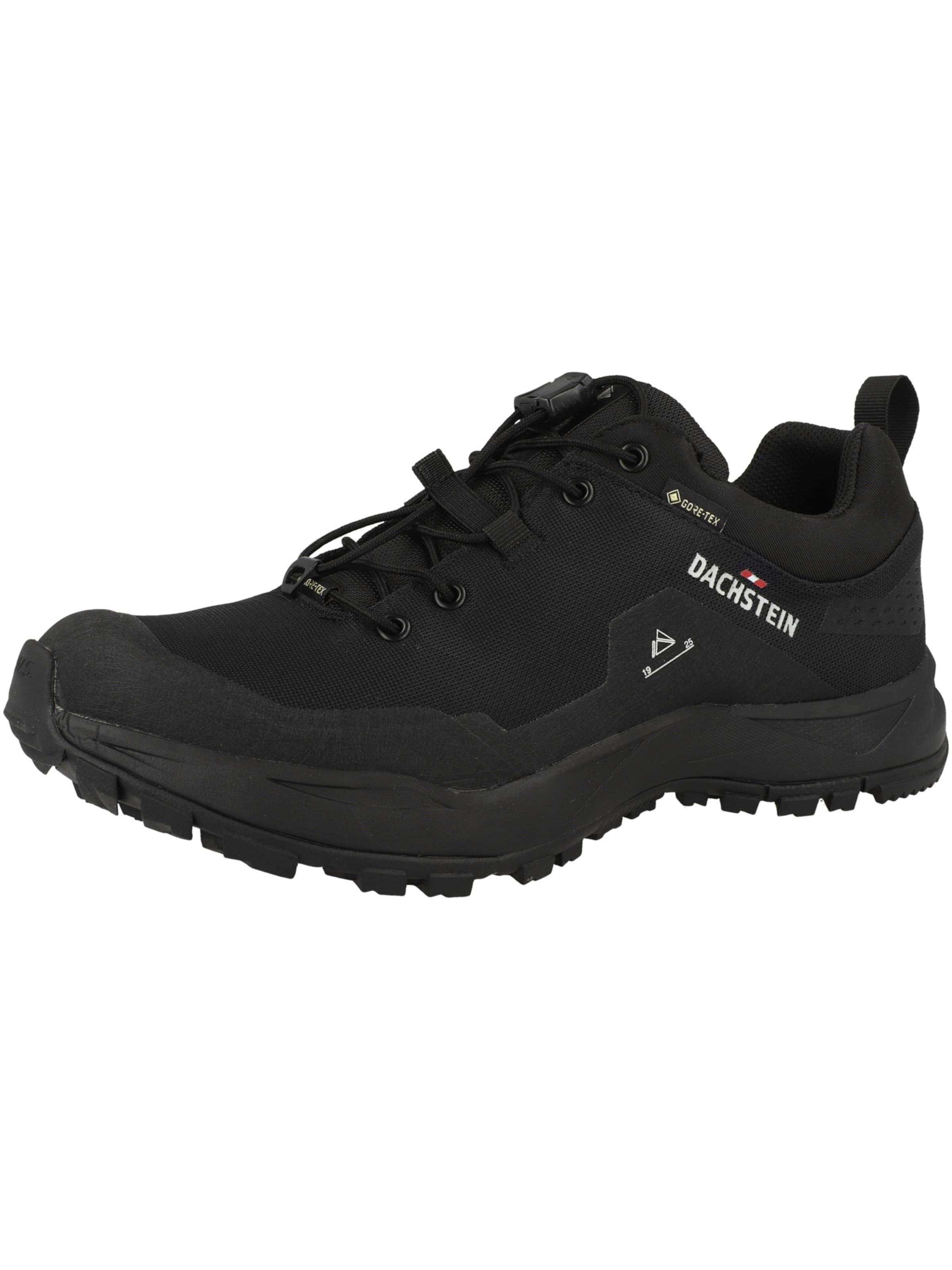 Dachstein Halbschuh 'Delta Peak GTX' in Schwarz: Vorderseite