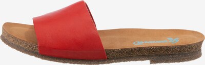 Greenova Pantolette in rot, Produktansicht