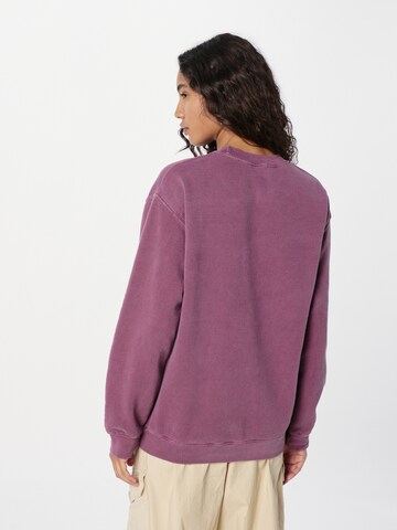 BDG Urban Outfitters Sweatshirt in Pink