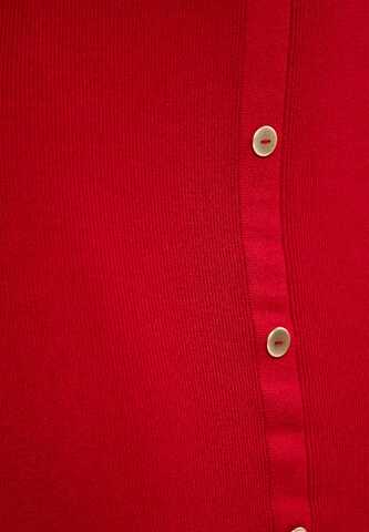 NAEMI Rok in Rood