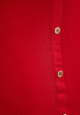 NAEMI Skirt in Red
