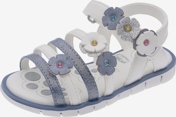 Chicco Sandaalit 'Cully' värissä valkoinen: etupuoli