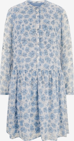 Robe-chemise Linea Tesini by heine en bleu : devant