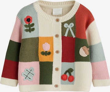 Next Gebreid vest in Gemengde kleuren: voorkant