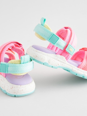 Sandalo di Next in rosa