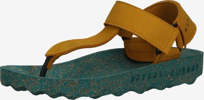 Asportuguesas Séparateur d'orteils en turquoise / jaune, Vue avec produit