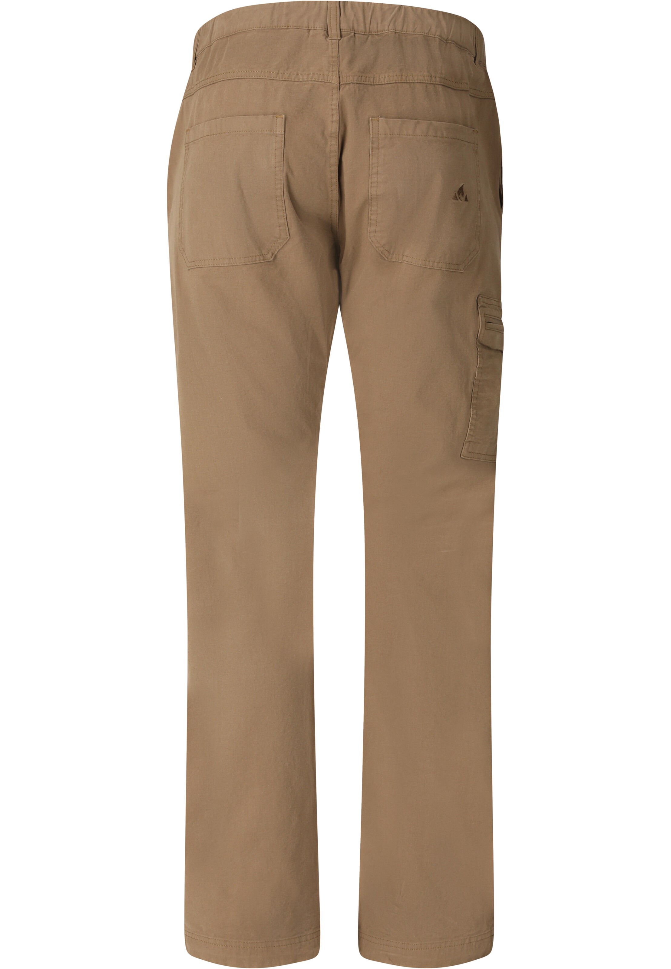 Whistler Regular Sports trousers 'Levanger' in Brown