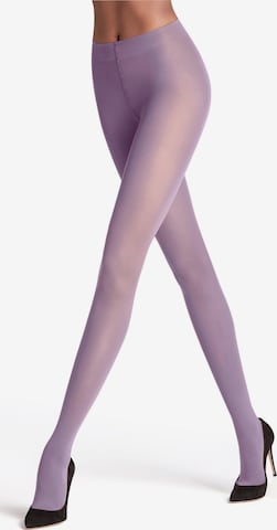 FALKE Strumpfhose 'Matt Deluxe' in Lila: Vorderseite