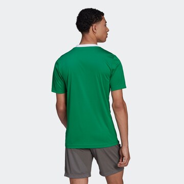 ADIDAS PERFORMANCE Funkcionalna majica 'Entrada 22' | zelena barva