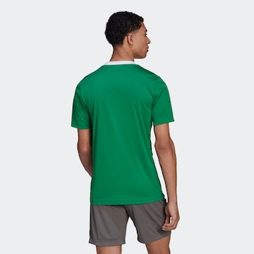 ADIDAS SPORTSWEAR Performance Shirt 'Entrada 22' in Green