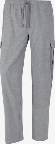 Jan Vanderstorm Pants ' Valen ' in Grey: front