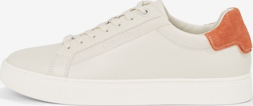 Calvin Klein Sneakers in Beige: front