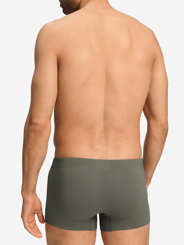 Hanro Retro Pants ' Cotton Essentials ' in Grau