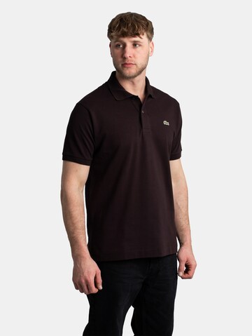 LACOSTE Shirt 'Classic Fit' in Brown