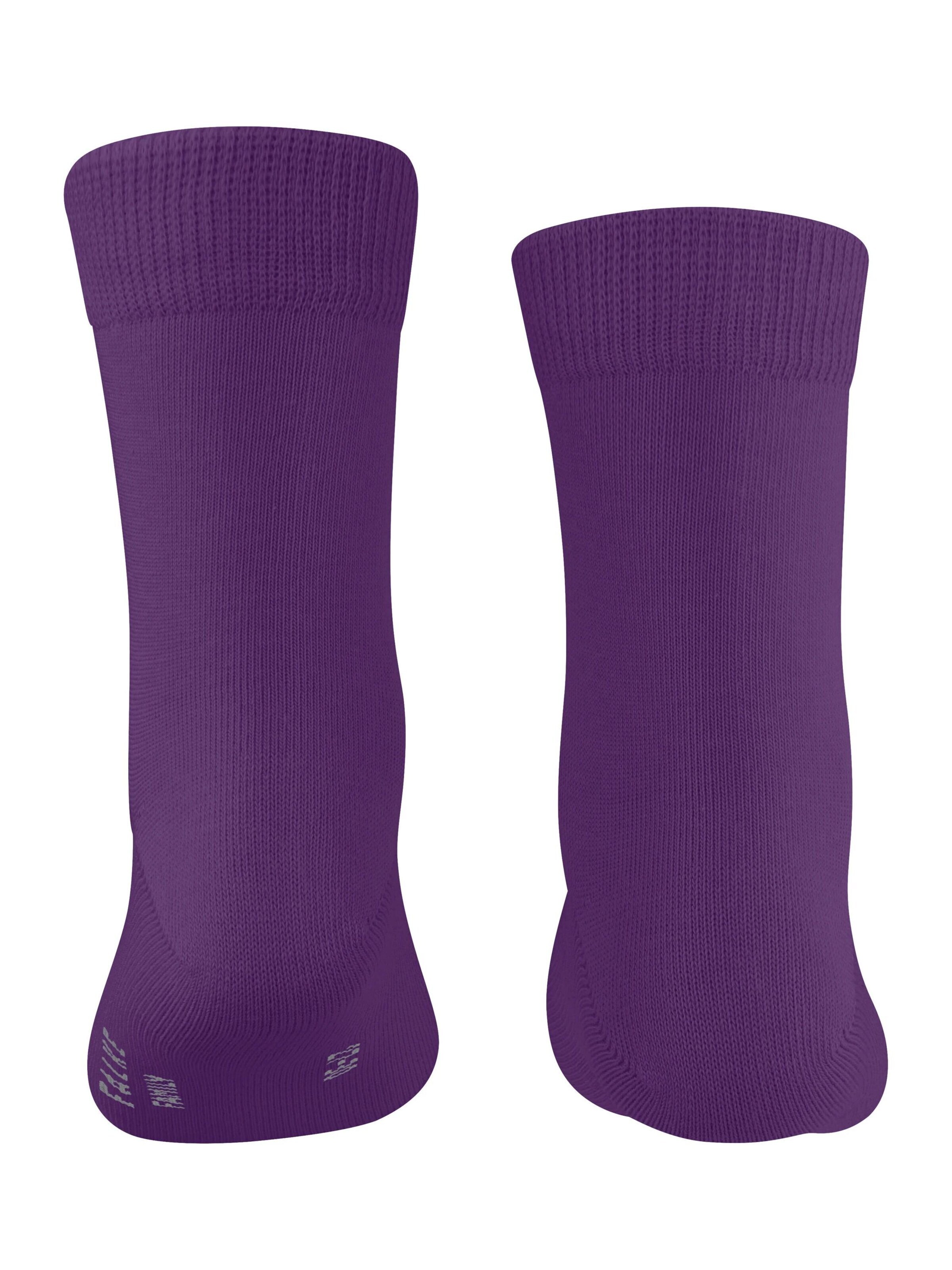 FALKE Socks 'Family' in Purple