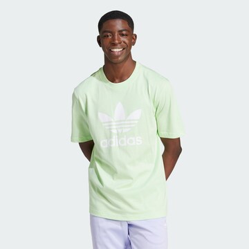 ADIDAS ORIGINALS Tričko 'Adicolor Trefoil' – zelená: přední strana