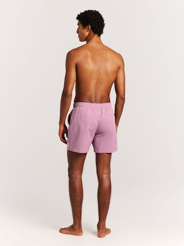 PROTEST Badeshorts 'Wytona' in Lila