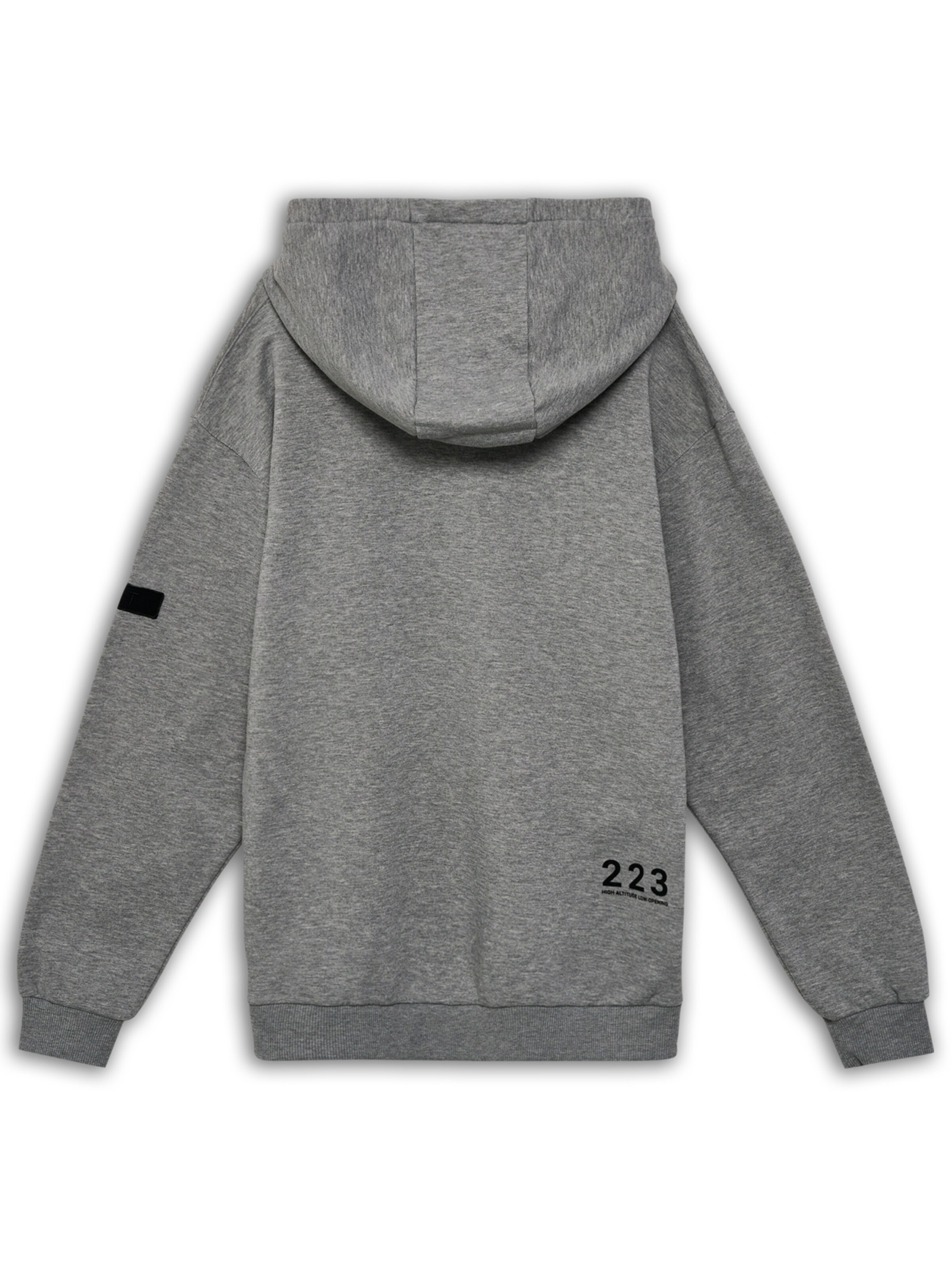 HALO Sweatshirt in Grijs