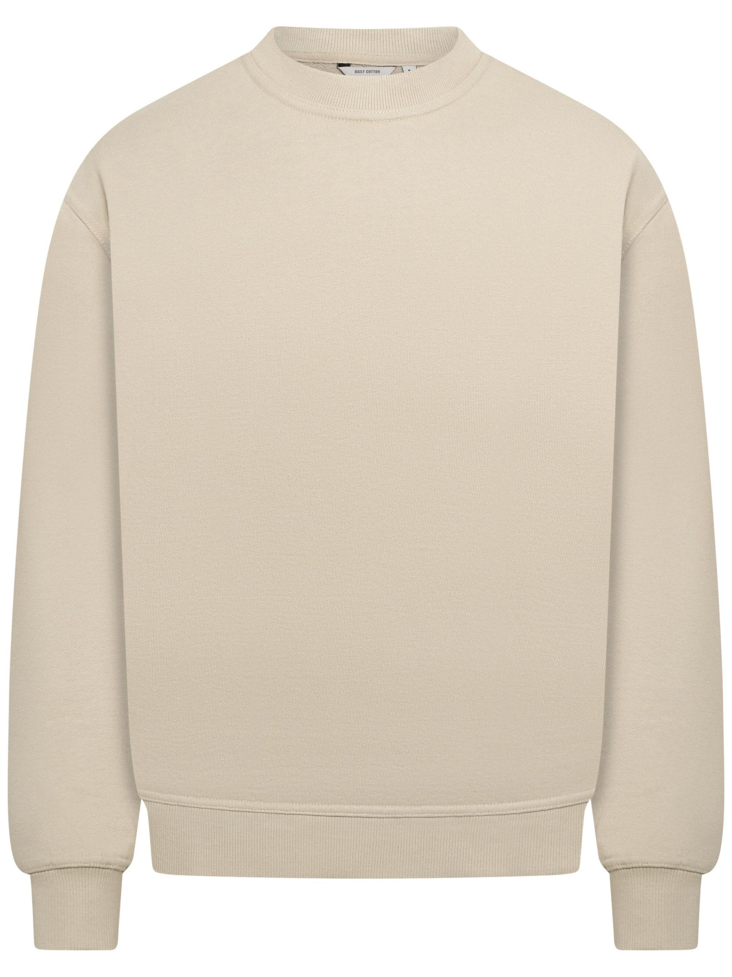 Daily Cotton Sweatshirt 'DCSORIA' in Grey: front