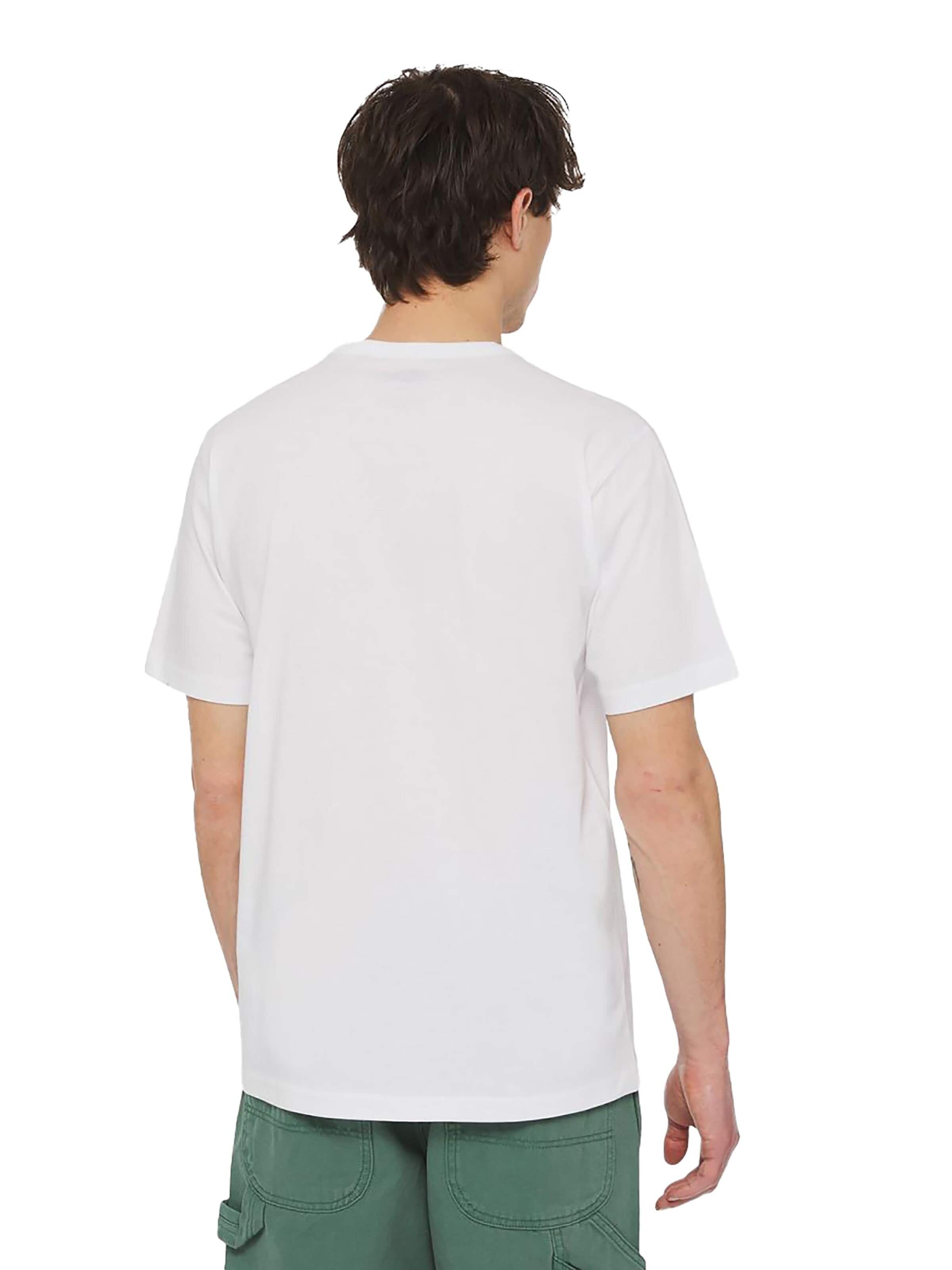DICKIES Shirt 'Aitkin'‌‌ in Weiß