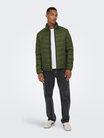 Only & Sons Winter Jacket 'Carven' in Green