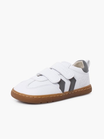 Pisamonas Sneaker in Grau: Vorderseite