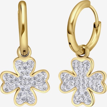 Boucles d'oreilles Lucardi en or : devant