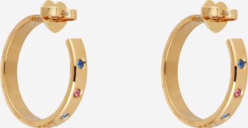 Kate Spade Oorbellen in Goud