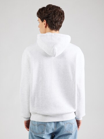 Champion Authentic Athletic Apparel Sweatshirt in Grau