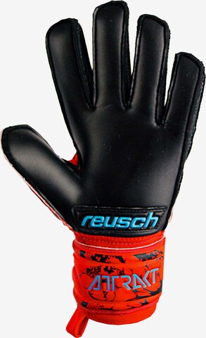 REUSCH Sporthandschoenen 'Attrakt Silver' in Rood