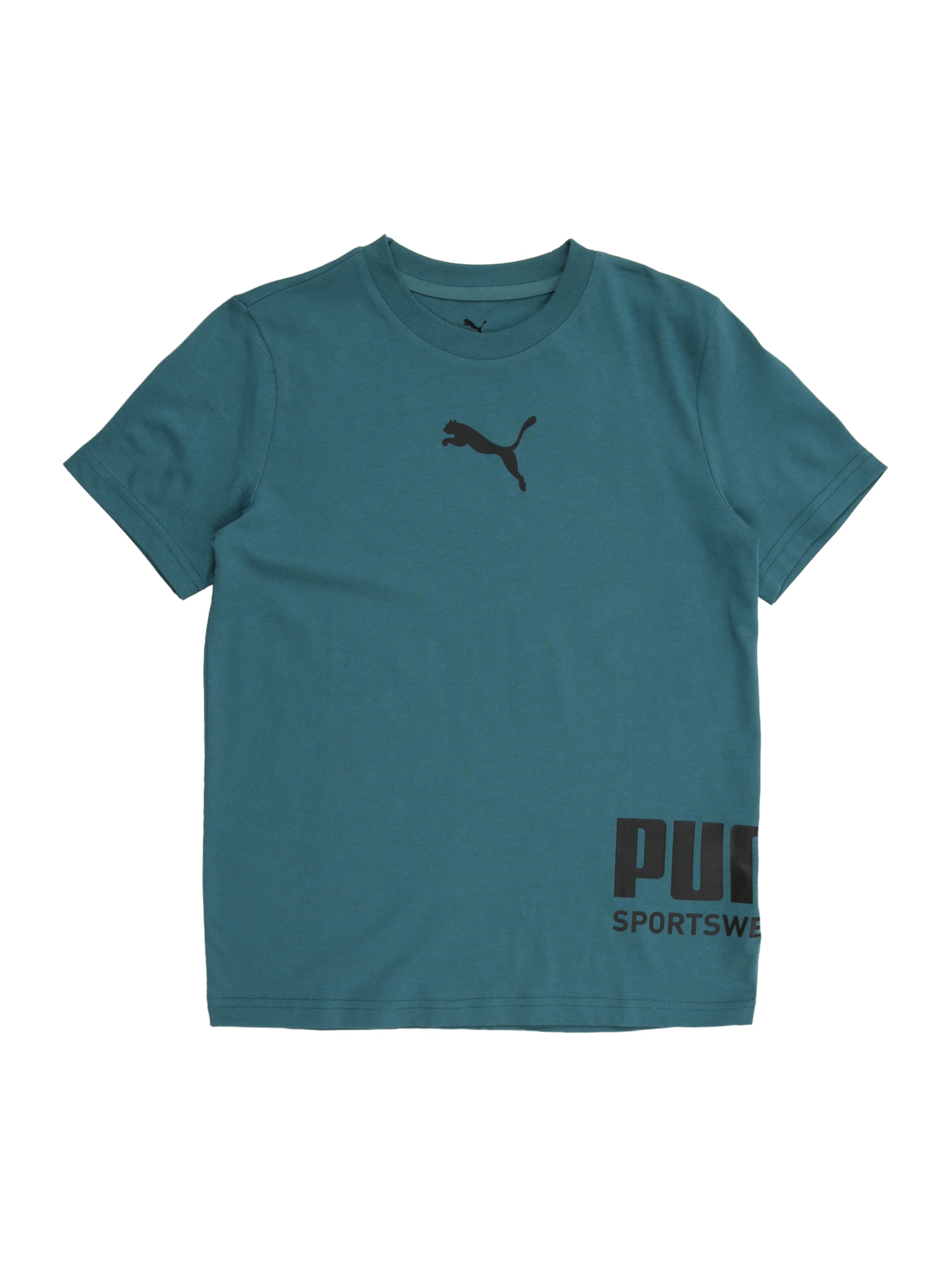 PUMA Функциональная футболка в Зеленый: спереди