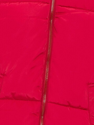 Daniel Hills Zip-Up Hoodie 'Dylan' in Red