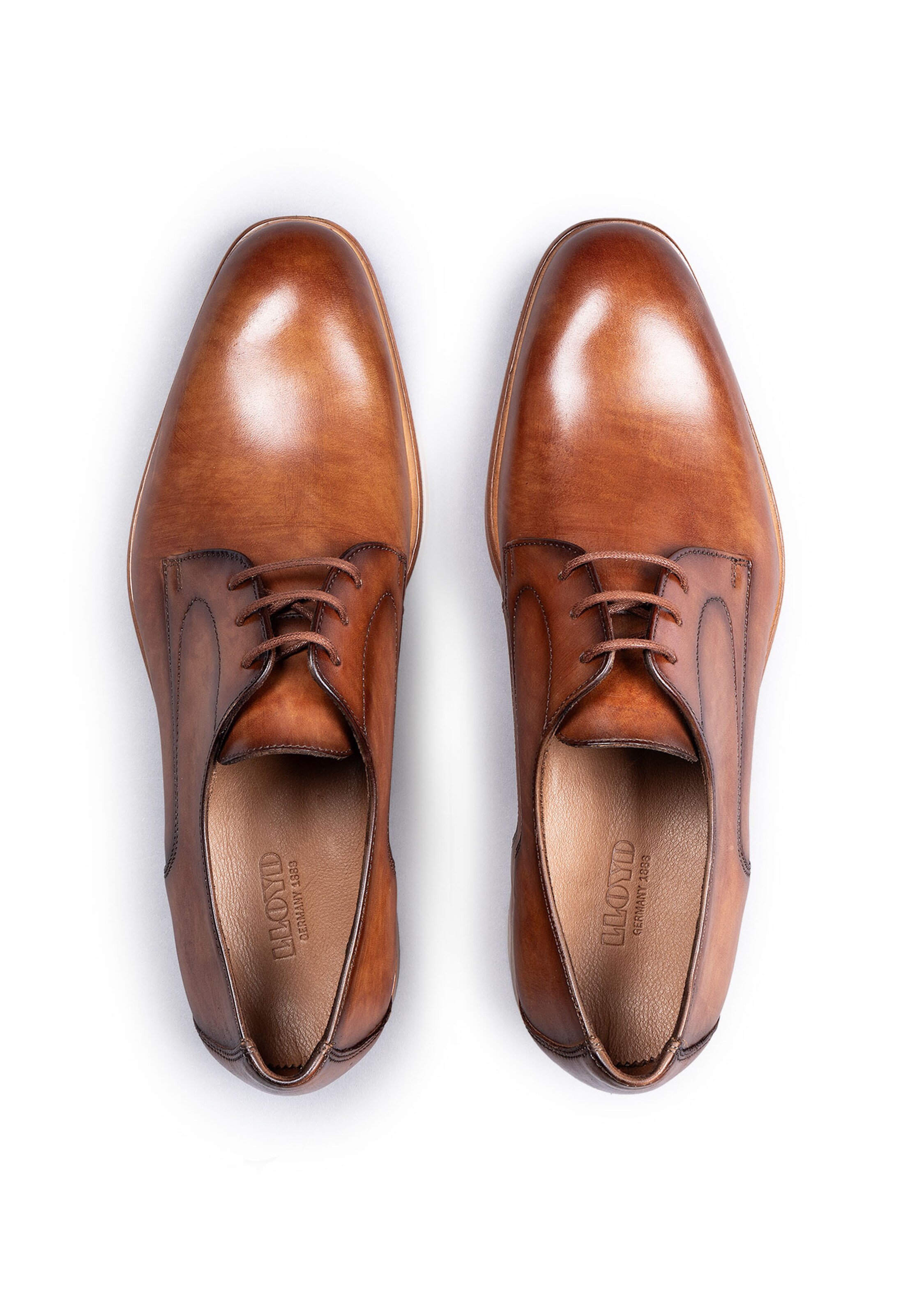 LLOYD Schnürschuh 'STANTON' in Braun