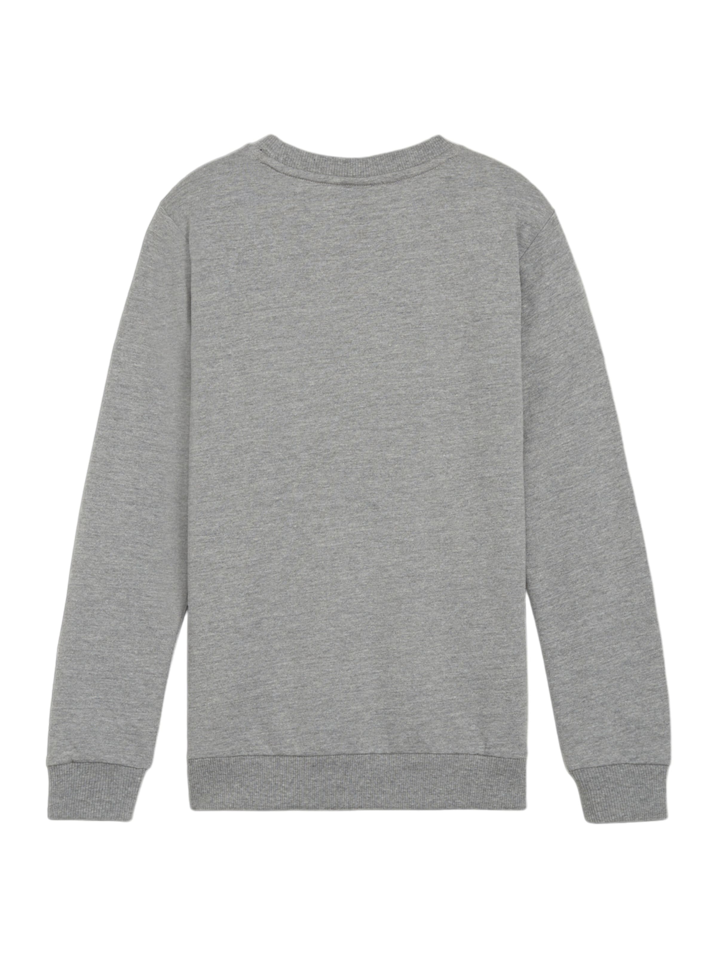 PUMA Athletic Sweatshirt 'GOAL' in Grey