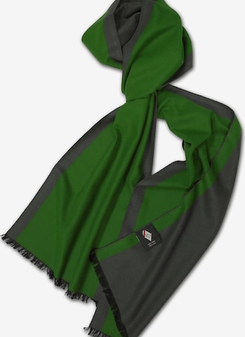 Posh Gear Scarf 'Bicolor' in Green: front