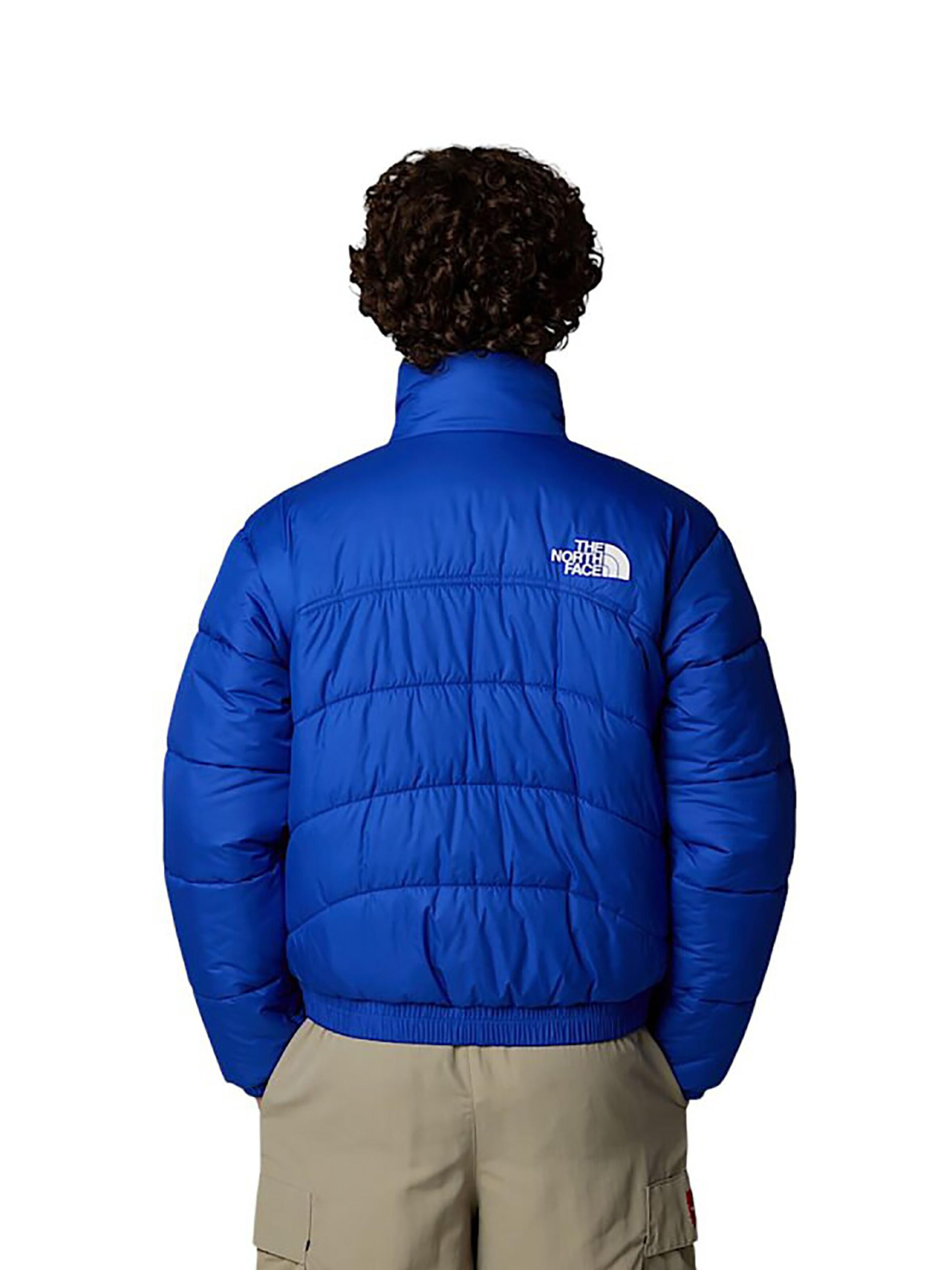 THE NORTH FACE Winter Jacket 'Summit Puffer 2000' in Blue