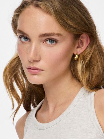 PIECES Oorbellen 'PCDITTE' in Goud: voorkant