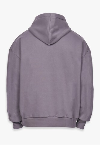 Dropsize Sweatshirt 'Embo' i grå